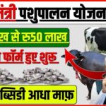 business loan new rule : भैंस पालन योजना 2026 बना देगी, मालामाल 50 परसेंट सब्सिडी ऐसे आवेदन करें।