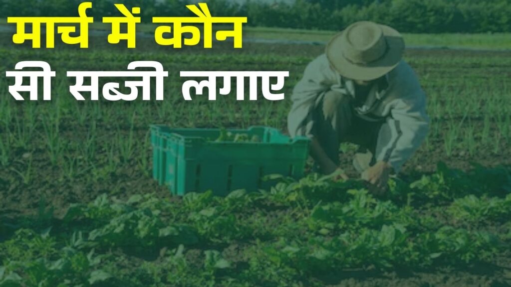 Plant These Vegetables