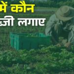 मार्च में करें इन सब्जियों की खेती, गर्मी के सीजन में होगी लाखों की कमाई