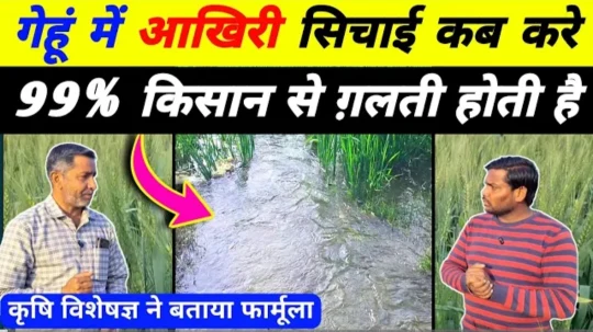 Screenshot_20260222_063933_YouTube