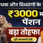 Pension scheme update: वृद्ध, विधवा और दिव्यांगों को मिलेगा 3000 महिना पेन्शन